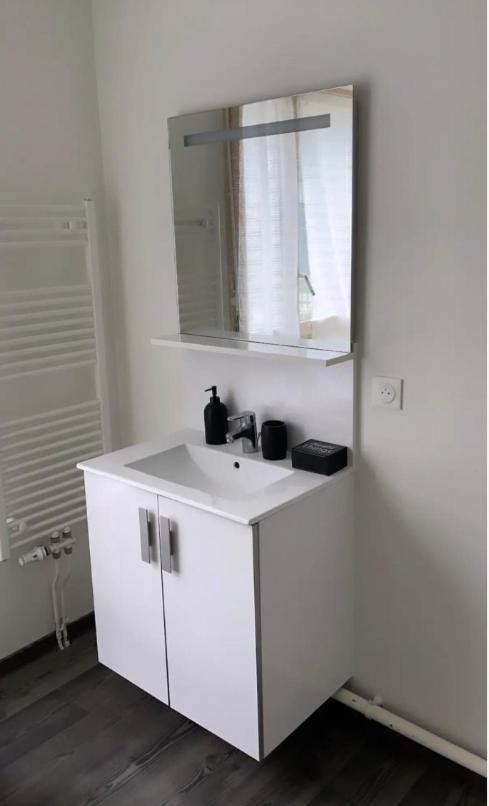 Appartement Cosy Et Bien Equipe Нантер Екстериор снимка